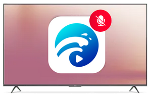 12 Cancelar-la-suscripcion